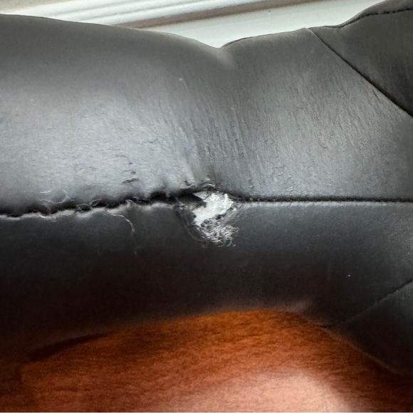 East Side Collection Dog Casual Canine Black - Picture 5 of 9